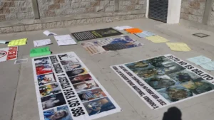 colectivo de busqueda