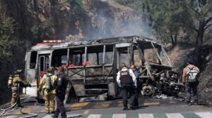 large_d7e543881b98a4c3880dc001faab9ccde93e06c7_548fff2310