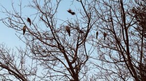 principal_clima20febrero