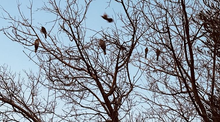 principal_clima20febrero