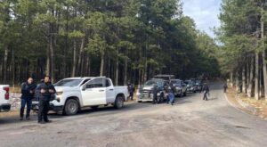 principal_inseguridad