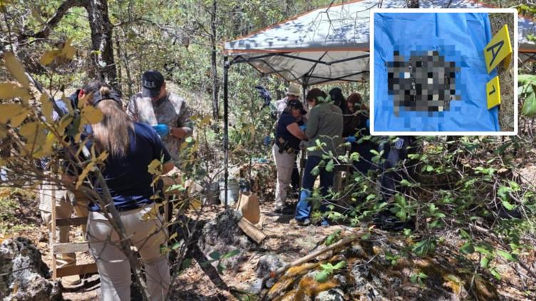 principal_whatsapp-image-2026-04-08-at-103557